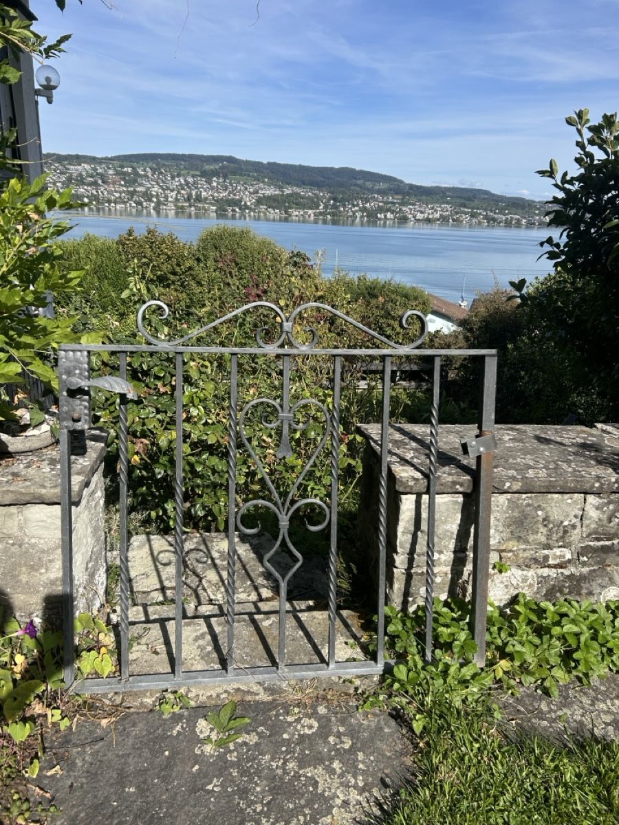Porte: Gartentor Schmiedeeisen  – Usato da Oberrieden venduto da pfe_xry2