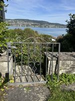 Gartentor Schmiedeeisen 