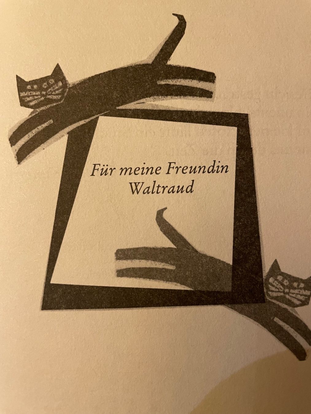 Libri: Katzen Roman von Eva Berberich – Nuovo (secondo la descrizione) da Emmenbrücke venduto da Ladyboutique 6