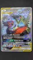 Mega Sableye & Tyranitar 🇨🇳 Tag Team Special illustration