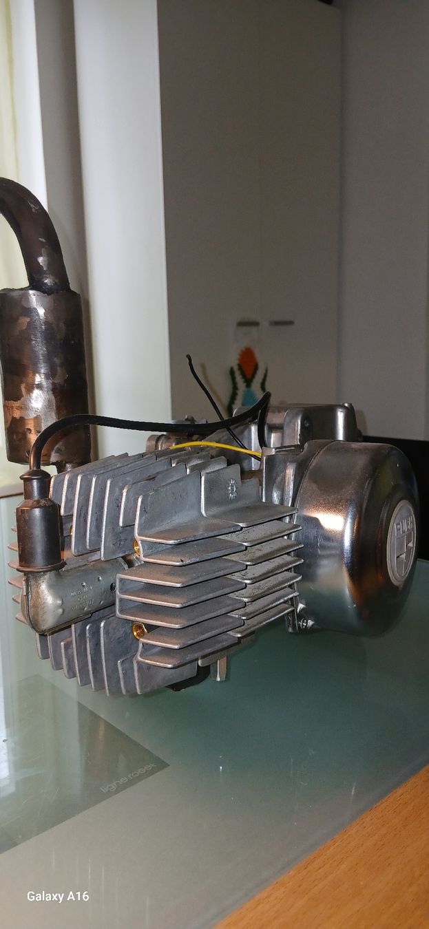 Puch Motori: Puch 65ccm 44mm  E50 12V revidiert – Nuovo (secondo la descrizione) da Altishofen venduto da Buriod 1