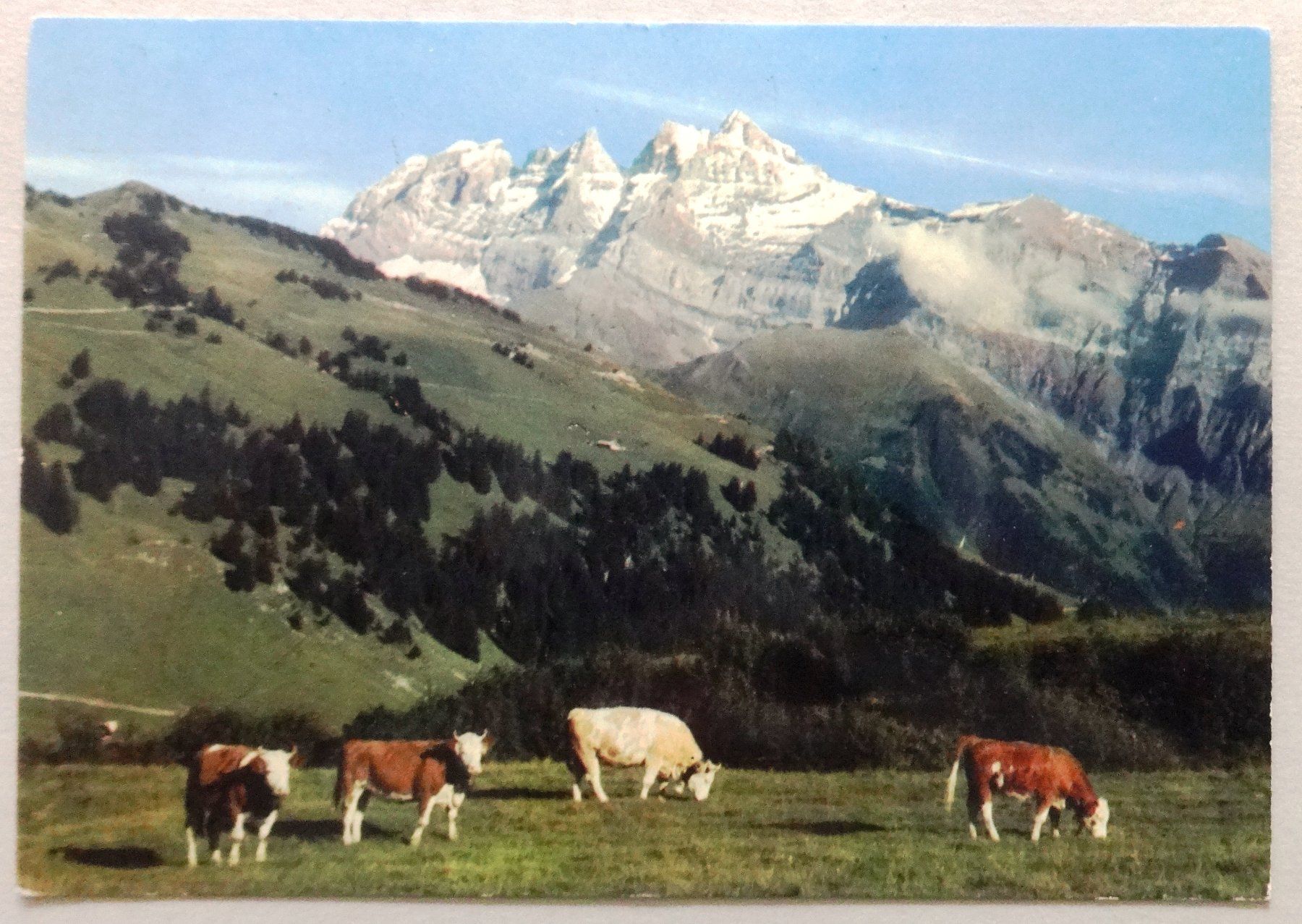 Cartoline postali: Champéry - Vallon des Creuses et Dent du Midi – Usato da Fétigny venduto da Billy2miny