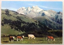 Champéry - Vallon des Creuses et Dent du Midi