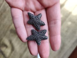 Silber ohrringe seestern silber