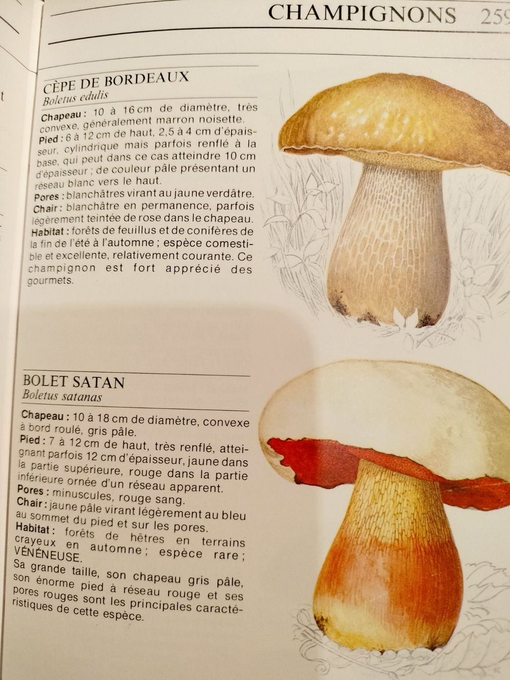 Libri: La vie des plantes – Usato da Cortaillod venduto da rozinna 9