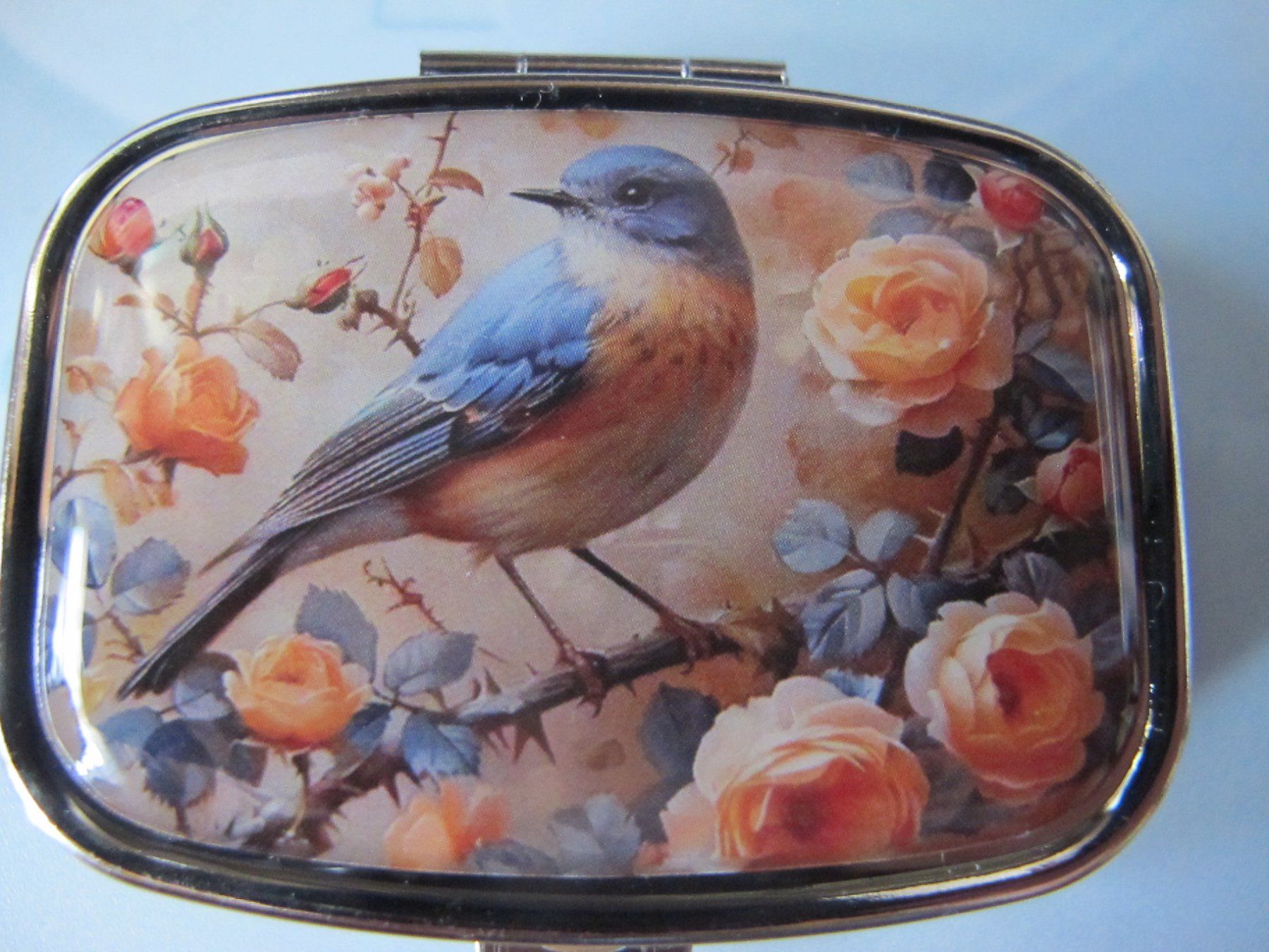 Sonstige Kosmetik & Pflege: Pillendose mit Vogelmotiv neu – Neu (gemäss Beschreibung) aus Löhningen von Chimae67 2