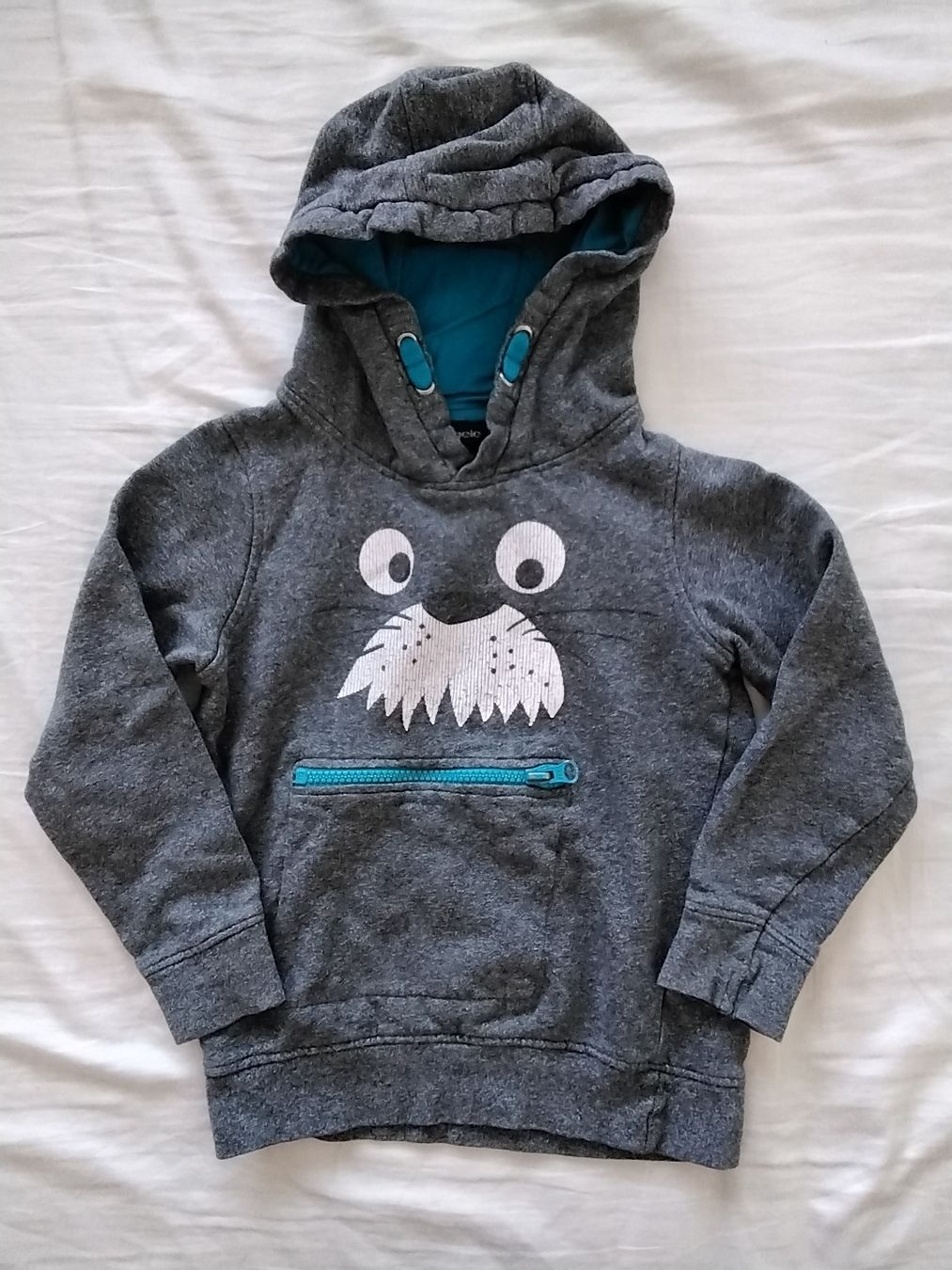 Maglioni & Felpe: Hoody, Kapuzenpullover Gr. 110 (Pullover, Pulli) – Usato da Balterswil venduto da Meerdeern