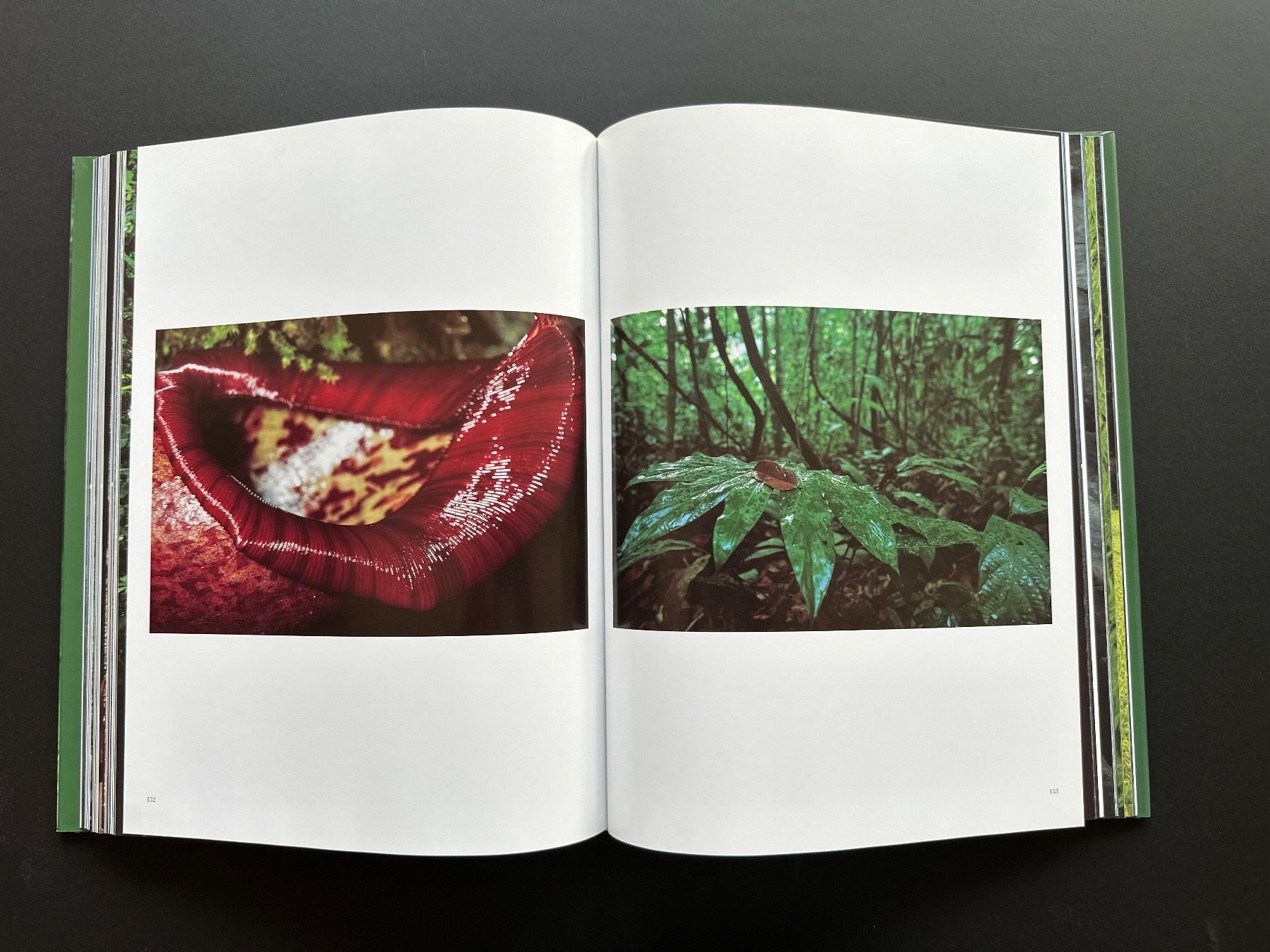 Libri: Photo Buch Monsoon – Usato da Brügg BE venduto da Jeepeeone 5