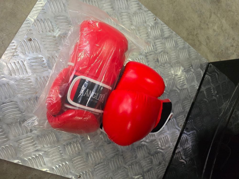 Machines à sous: Dynamic Boxer- Automat, neu! – Neuf avec emballage d'origine à Lengwil par x-rent 6