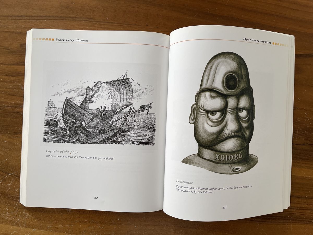 Libri: Incredible Visual Illusions, Al Seckel, Top Zustand! – Usato da Bad Zurzach venduto da Cookie_0619 9