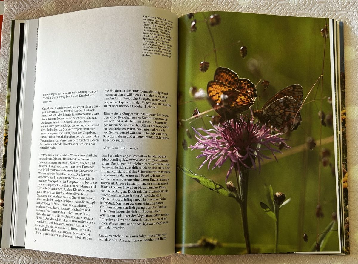 Libri: Die Wiese lebt, Silva-Verlag 1992 – Usato da Lengnau BE venduto da AgriOttu 3