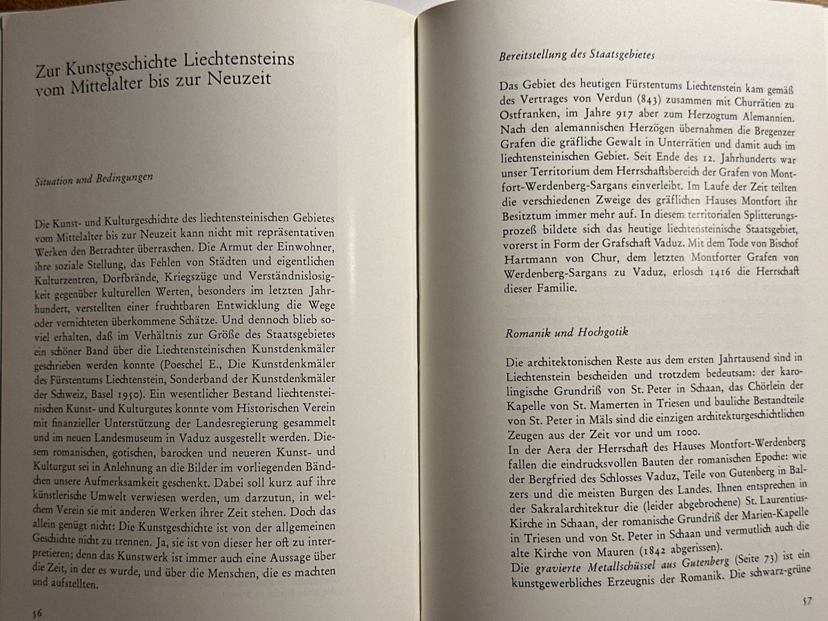Libri: Landesmuseum Vaduz – Usato da Berschis venduto da Vild1 3