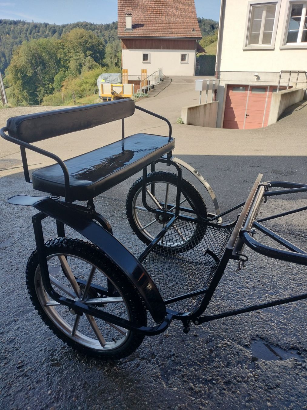 Carrozze: Sulky Kutsche – Usato da Pfungen venduto da Savaklunki 1