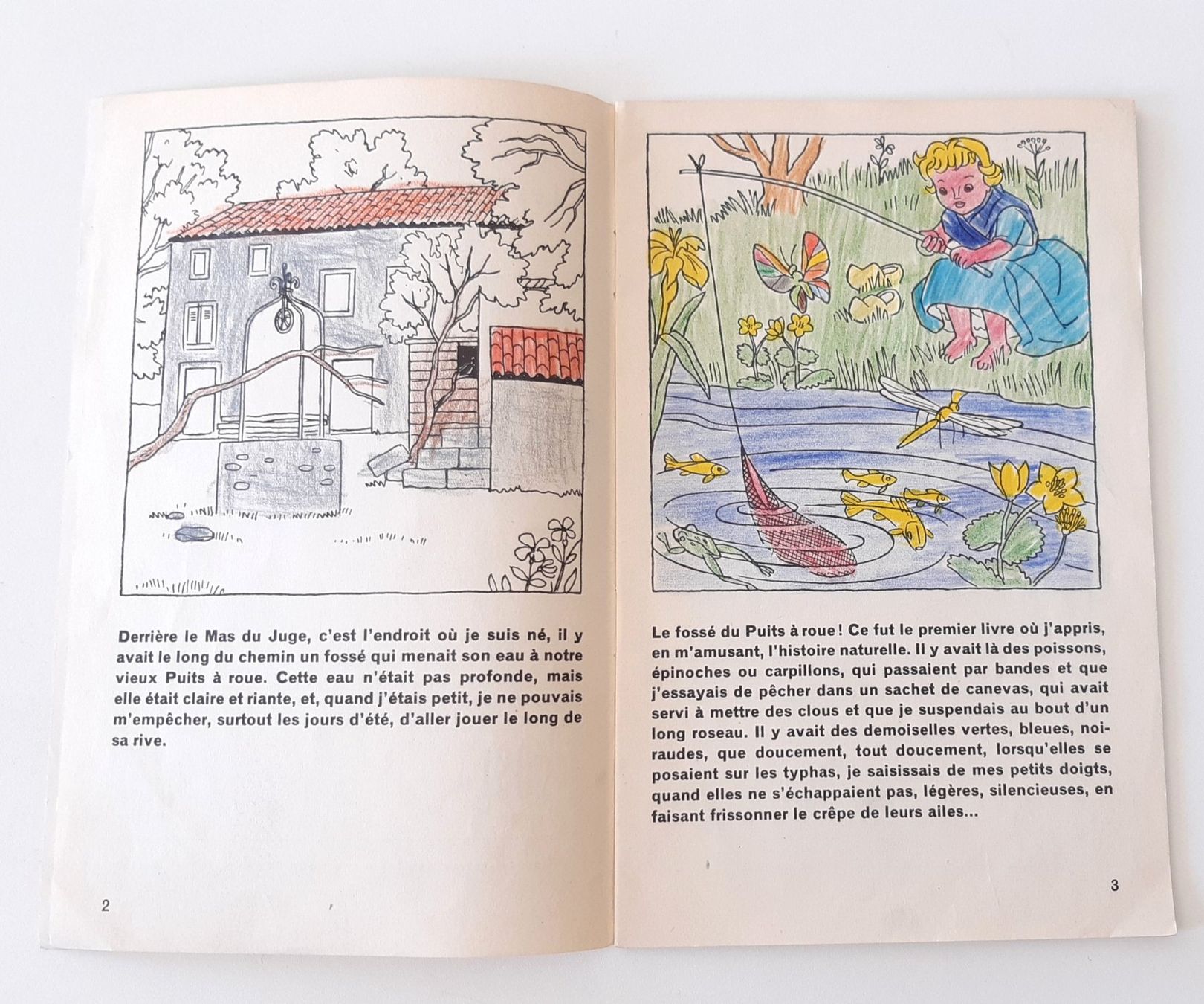 Livres: Les fleurs de glais -  Brochure OSL 478 – D'occasion à Savagnier par Marderuth 3