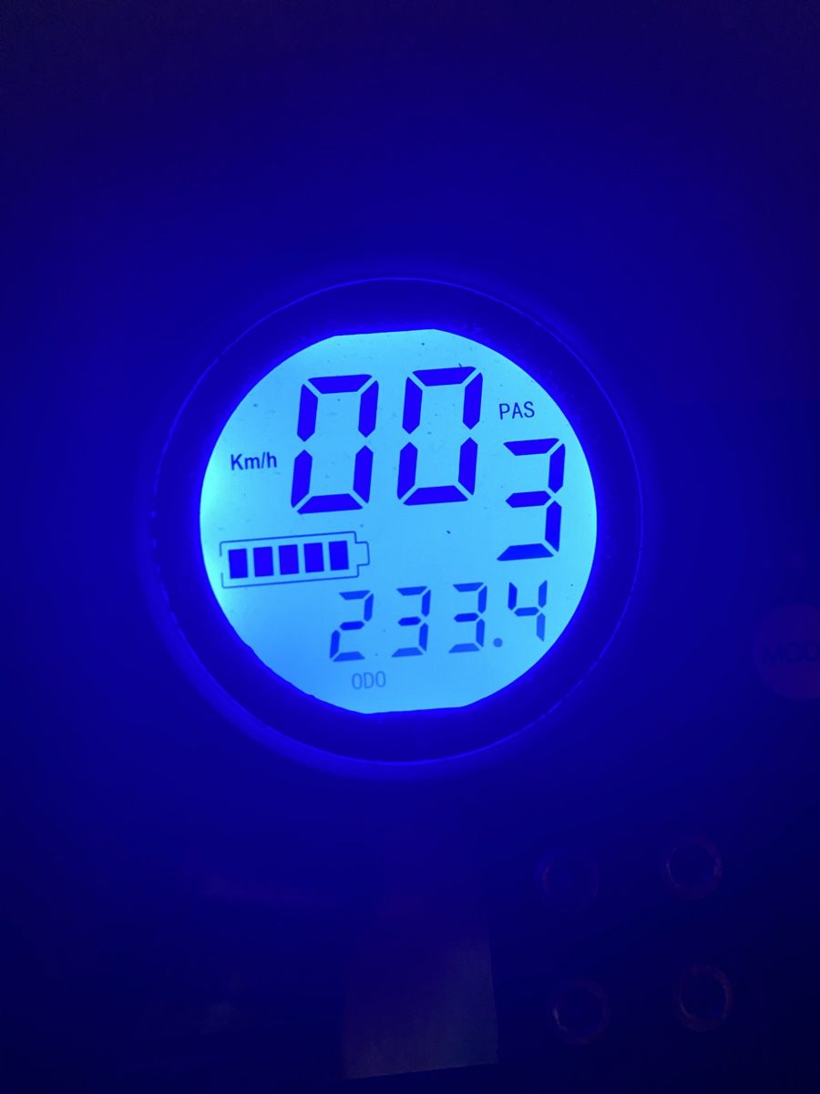 Scooter: E Scooter Roller eflizzer/erst 250 Km!!!!! – Usato da Sursee venduto da lucialiani 3