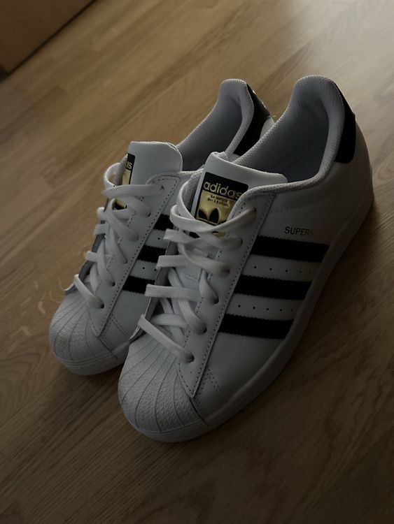 Superstar 38.5 outlet