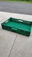 IFCO Gemüseboxen faltbar, 10cm hoch