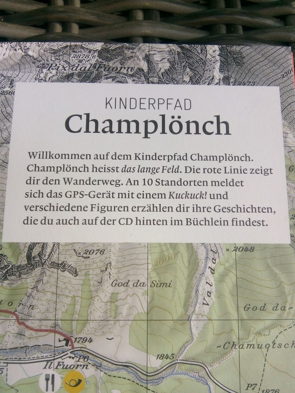 Livres: Kinderpfad Champlönch mit Audio-CD   Schweizer Nationalpark – D'occasion à St. Gallen par elk2021 2