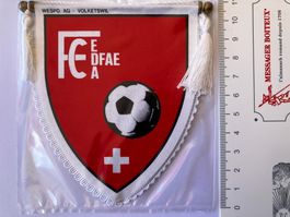 Vintage 1985  Fanion/Wimpel  FC DFAE