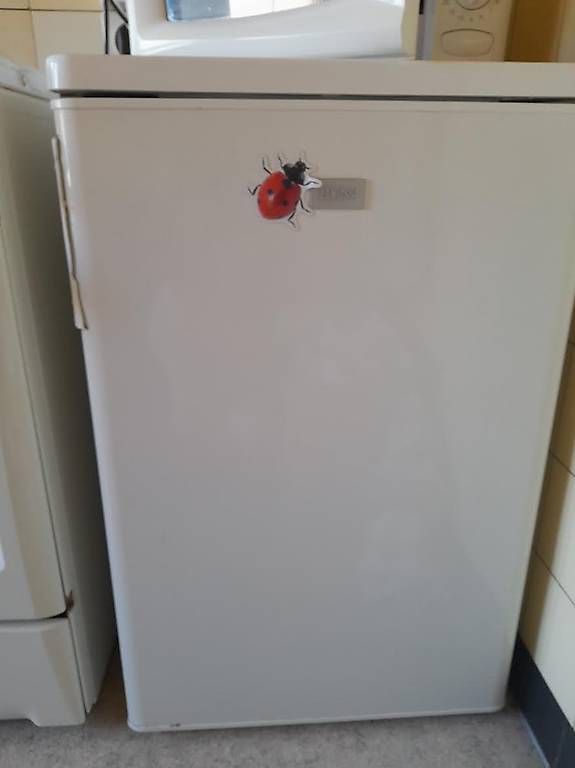 Kühlschrank: Frigo – Gebraucht aus Epalinges von san_5fc7