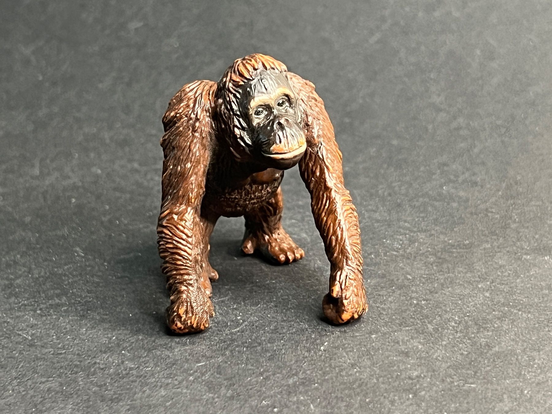 Schleich Figuren: Schleich Orang Utan Orangutan Affe Affen – Gebraucht aus Ennetbaden von mapa05 5