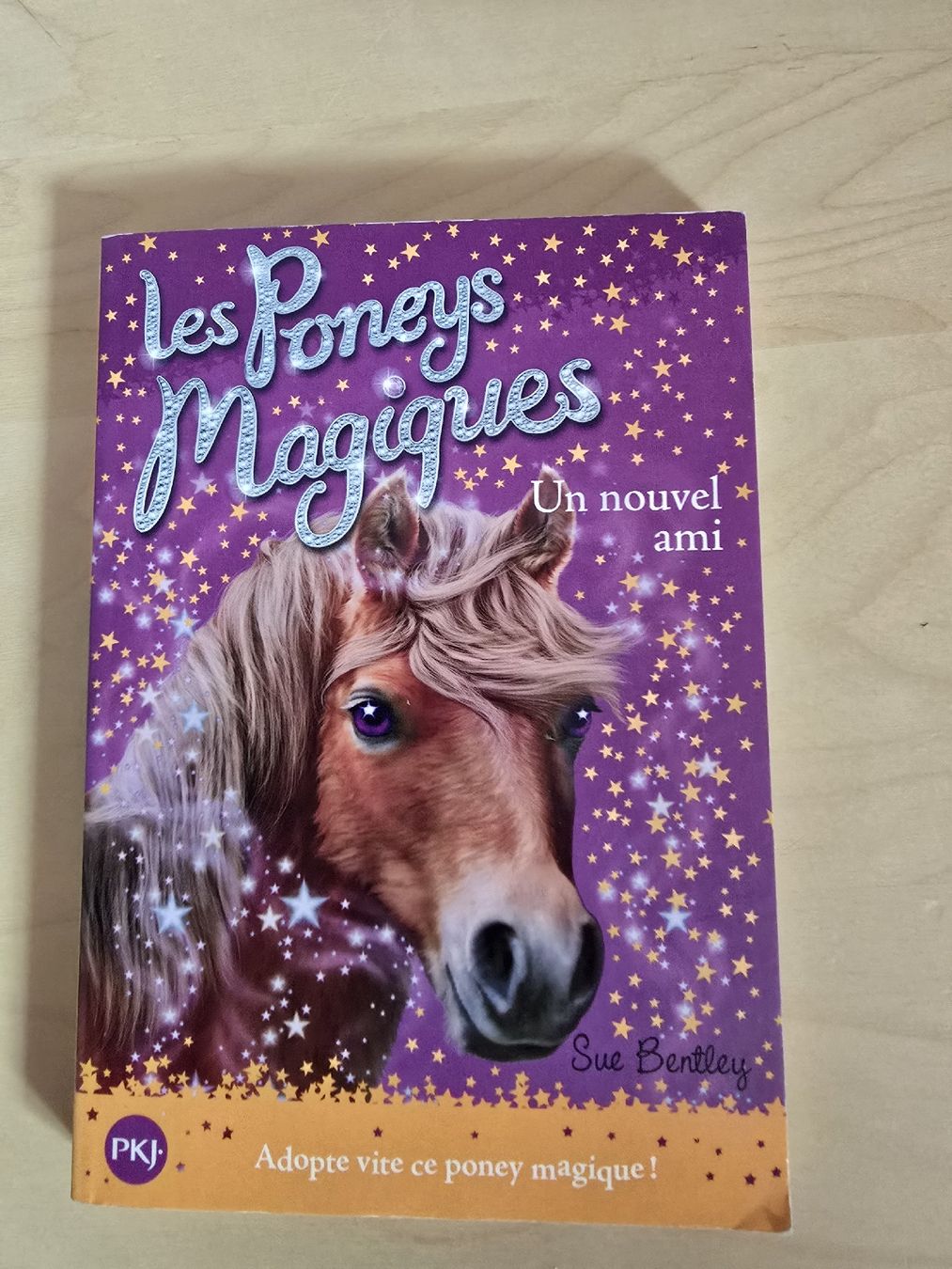 Libri: Livre "Les Poneys Magiques" – Usato da Bossonnens venduto da zla_cg8d