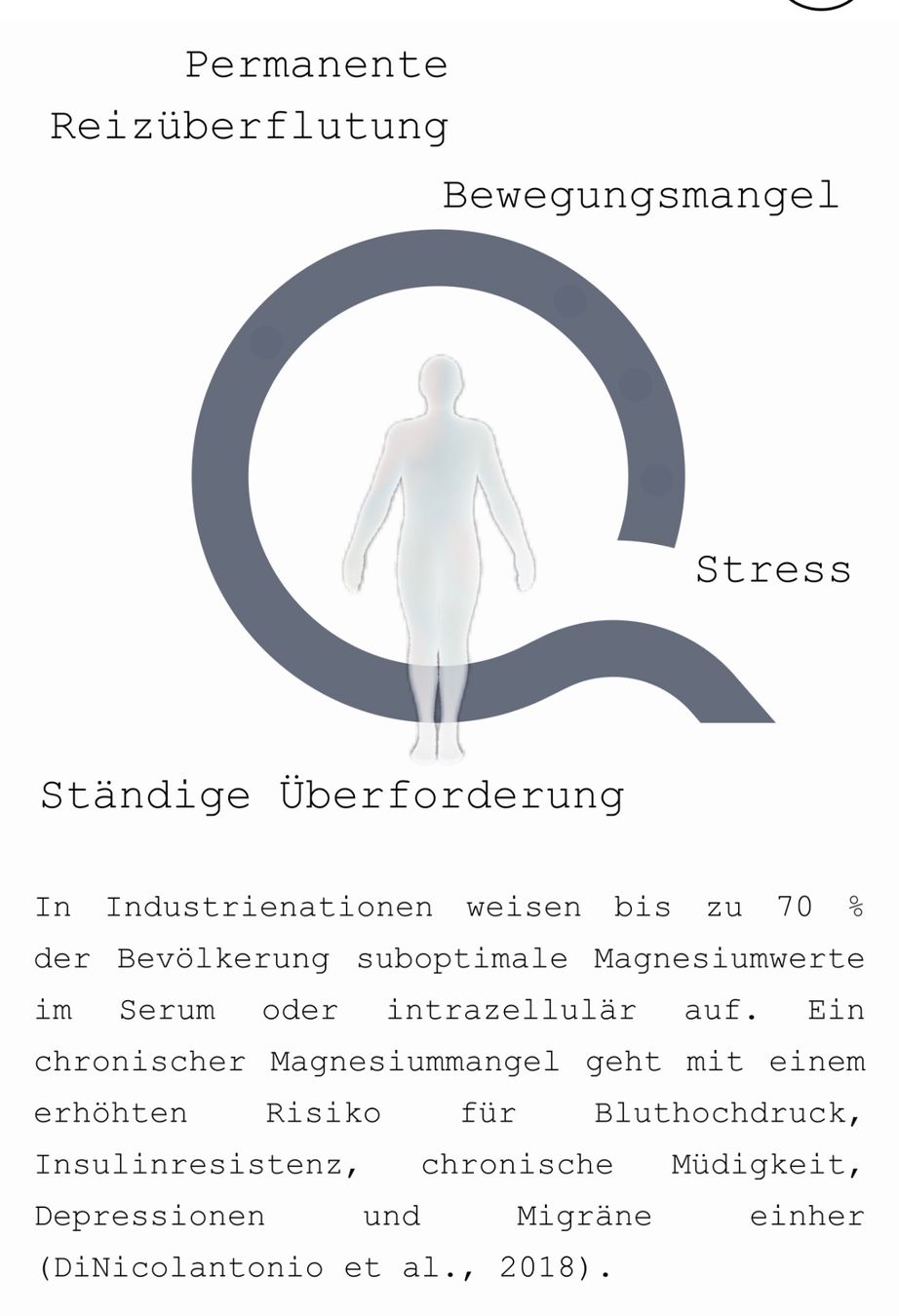 Cibi & Specialità: Wave Magnesium 27 Sticks – Usato da Neuhausen venduto da rmu_lfw5 2