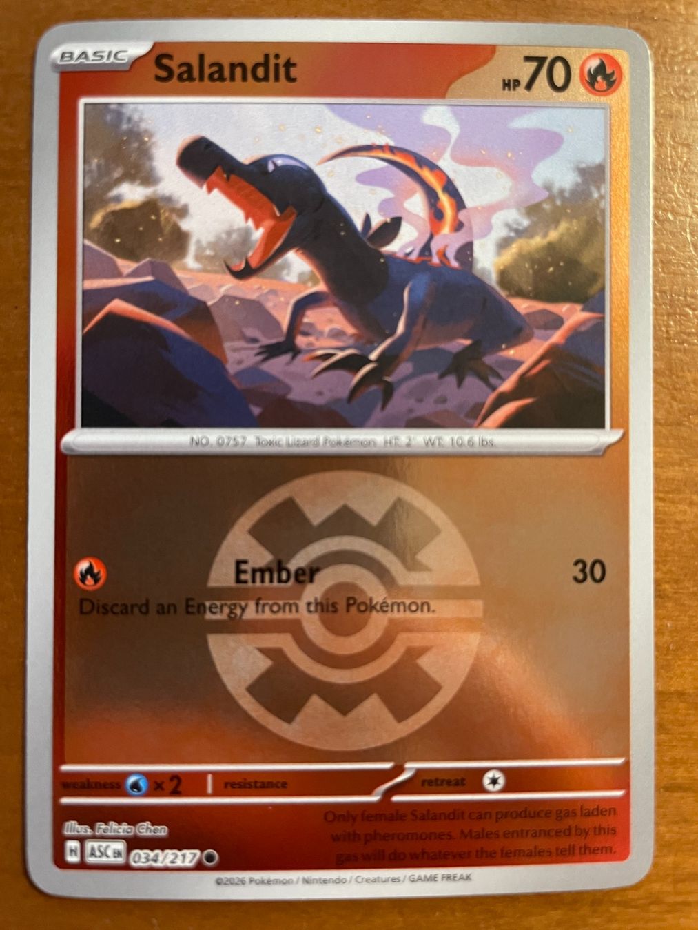 Pokémon Cartes à collectionner: Pokemon Salandit Reverse (Versand gratis) – Neuf (Voir description) à Chur par Angerson