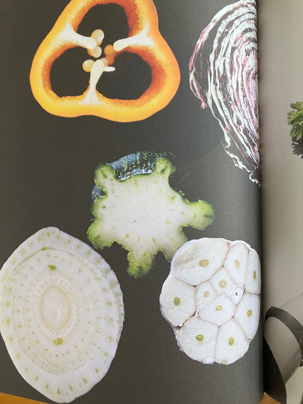 Libri: Studio Olafur Eliasson: The Kitchen Kochbuch – Usato da Basel venduto da papageientulpe 2