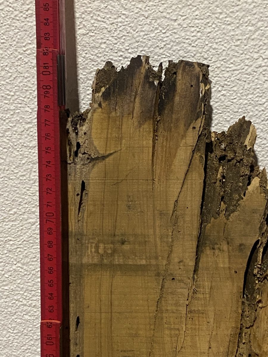 Articoli in legno: Olivenholz Bretter 2 Stück – Nuovo (secondo la descrizione) da Rüti ZH venduto da tom1896 1