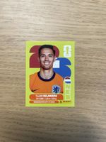 Panini FIFA WC NED 10