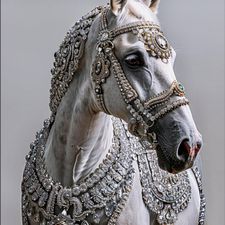 Profile image of and_rs5j