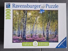 Ravensburger Puzzle Birkenwald 1000 Teile - vollständig