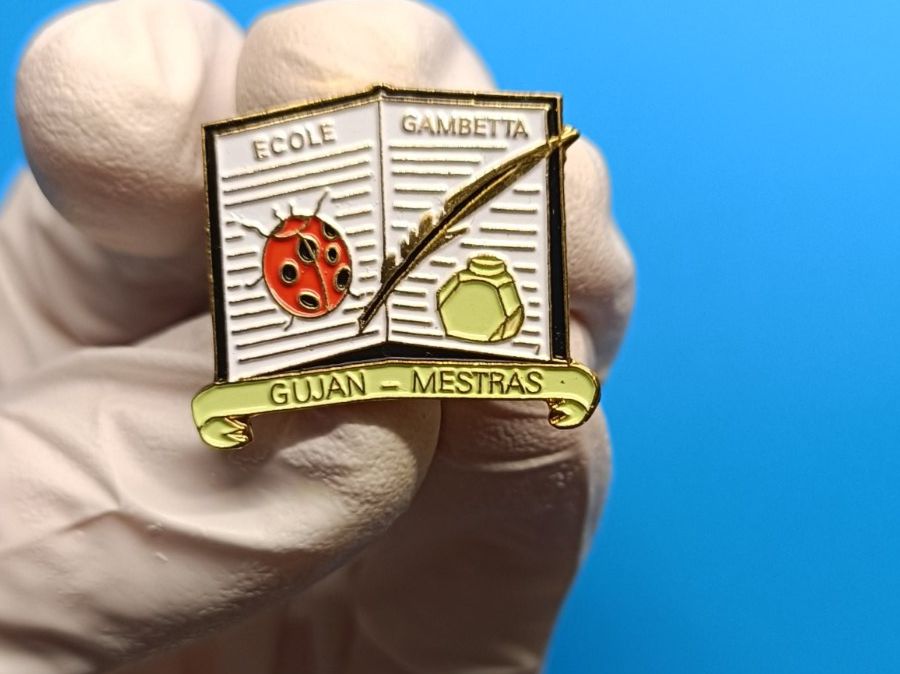 Placchette & Badge: Pin Ecole Gambetta Gujan Mestras - Box 42 – Usato da Köniz venduto da Pinscollect