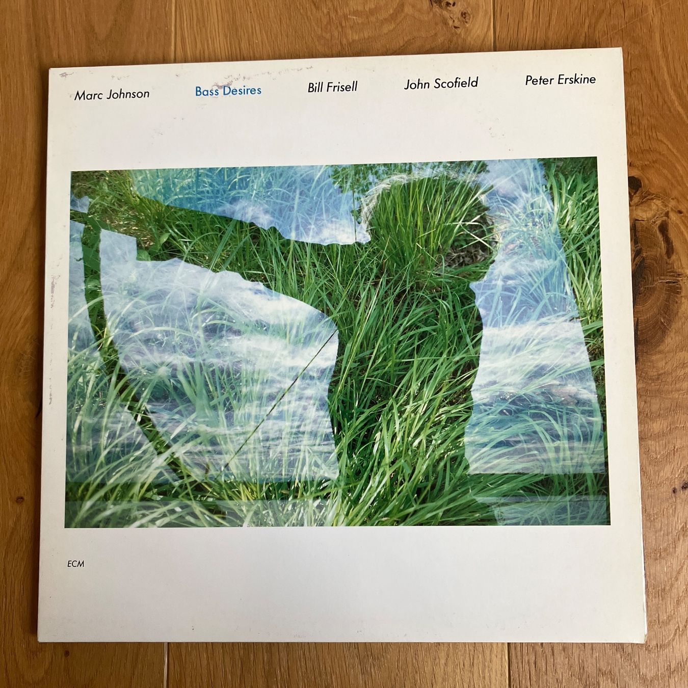 Schallplatten: Marc Johnson – Bass Desires – Gebraucht aus Altdorf UR von Metallic0