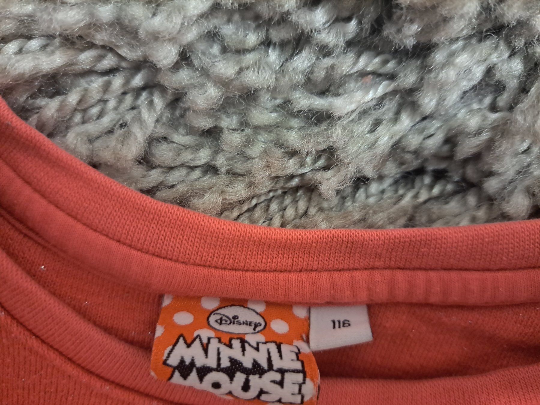 Pulls et sweat-shirts: Minnie Mouse Pullover Grösse 116 – D'occasion à Kaltbrunn par Nili133 2