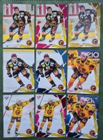 Cartes de Hockey sur glace collection S.C.Bern 2025/26.