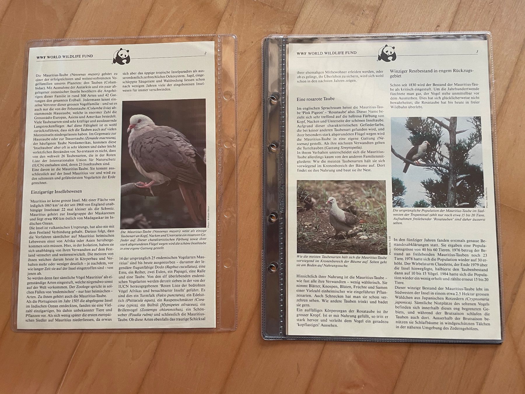 Tutti i francobolli: WWF Set "Die Mauritius-Taube" – Usato da Altdorf UR venduto da mic_z8bj 1