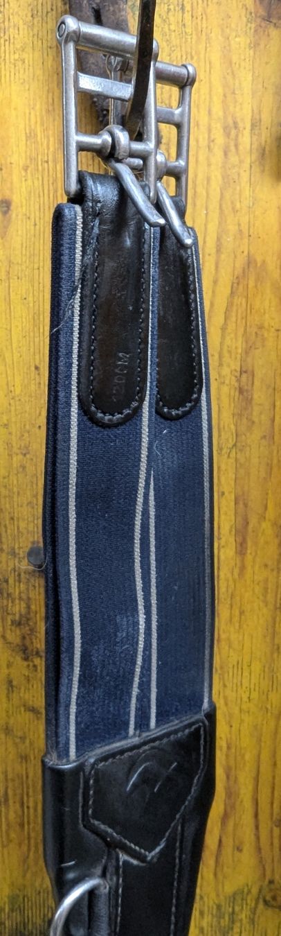 Selle & Accessori: Springgurt – Usato da Rüti zh venduto da hae_p9fs 2