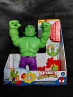 Hulk : Marvel Spidey Amazing Friends / NEUF
