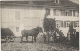 Landwirtschaft/Bauernfamilie 1910 Pferde-Fuhrwerk TG/ZH?