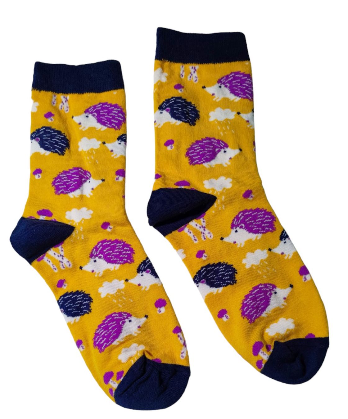 Calze: Socken Igel / Hedgehog / Pilze / Mushrooms – Nuovo e nell'imballaggio originale da Zürich venduto da amysmith