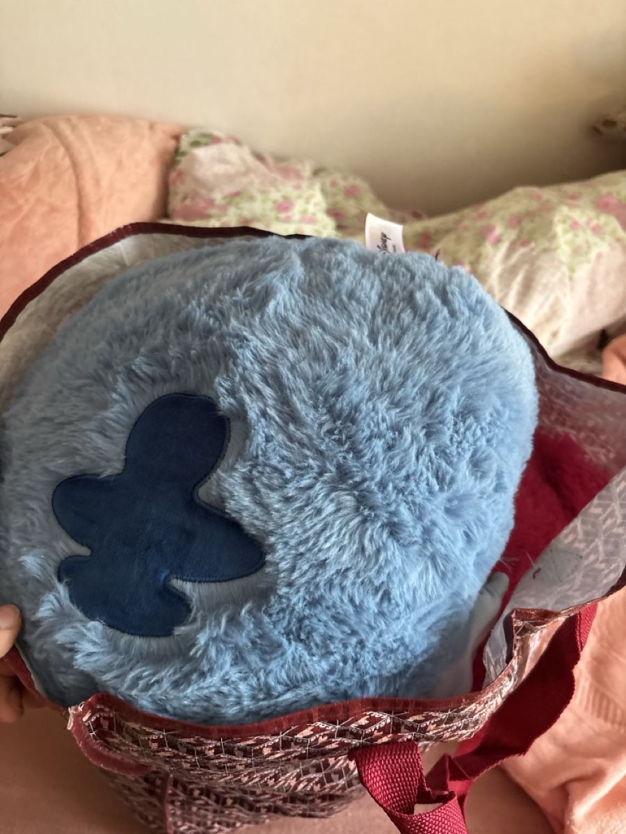 Giocattoli: Mystery Plüschtier Bag – Usato da Dübendorf venduto da ame_g69g