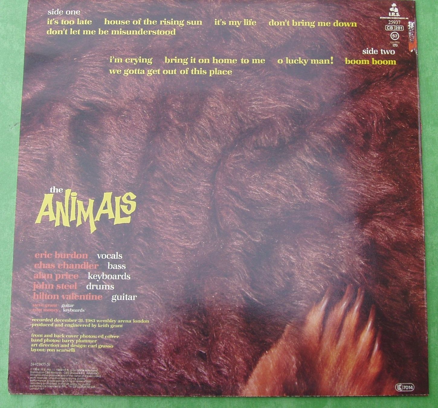 Vinyles: ANIMALS Greatest hits live – D'occasion à Boussens par catfood01 1
