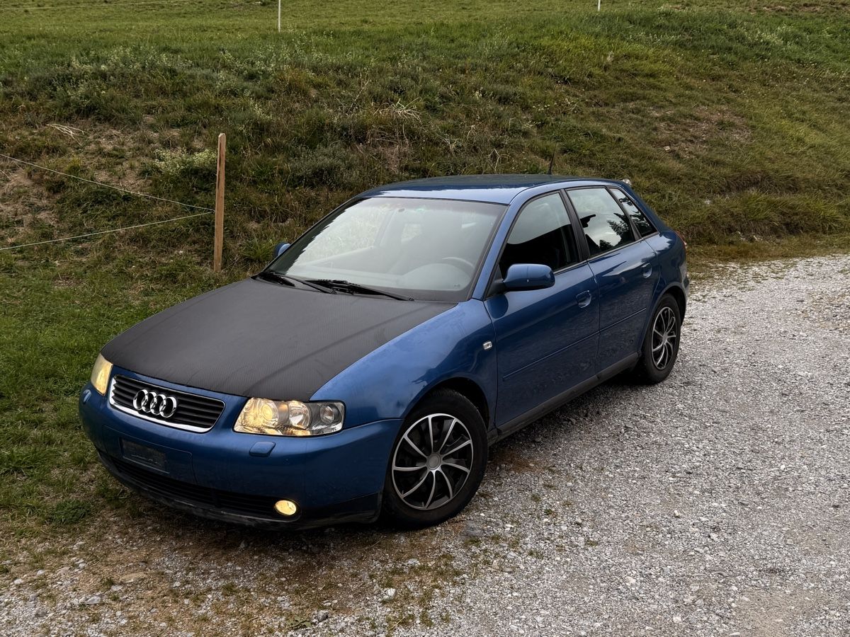 Audi Automobili: Audi A3 1.8T Quattro 8fach Bereift – Usato da Zwischenflüh venduto da PilotM
