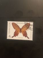 Timbre rare Papillon d'URSS 1987 - Alkinoos - 4k CCCP