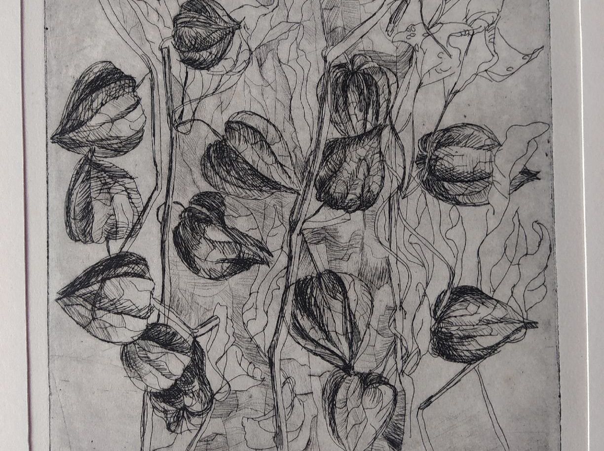 Carte collezionabili: Original Etching by E. Höyla-Vogt, Signed & Dated 1978 – Usato da Möhlin venduto da mik_h72m