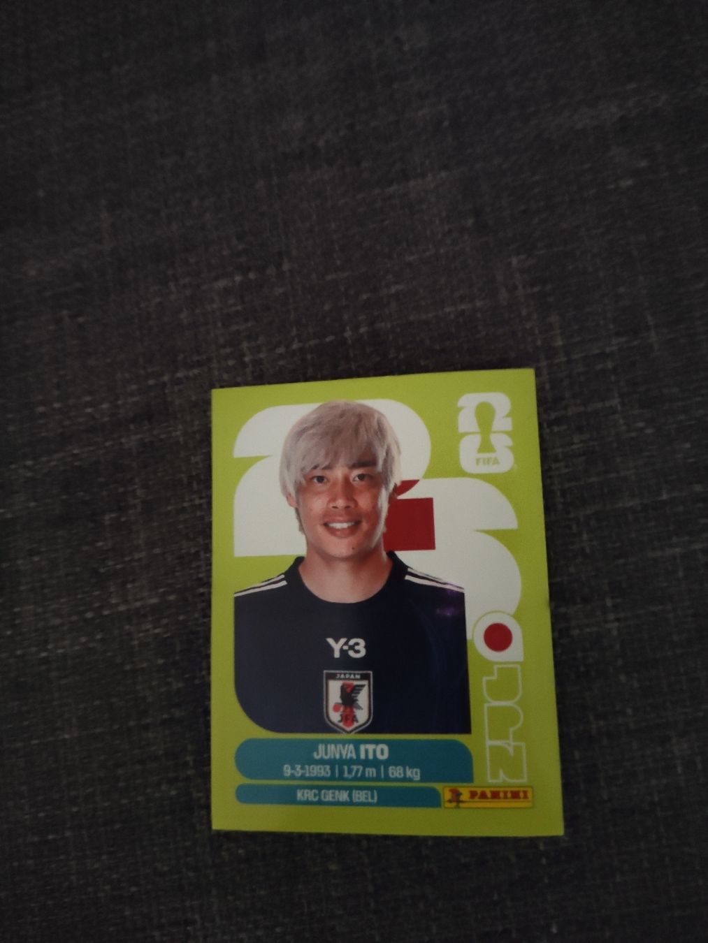 Panini Carte collezionabili: panini JPN 18 – Usato da Ettenhausen TG venduto da danielhoop