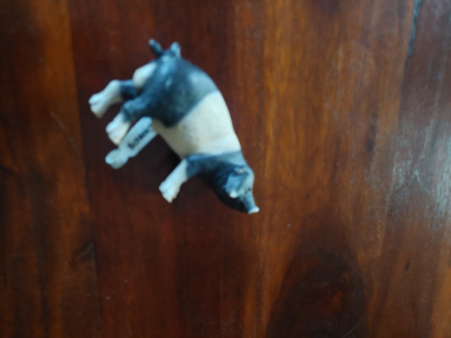 Schleich Spielzeuge: Schleich Schwein – Neu und originalverpackt aus Beckenried von Havacola 2