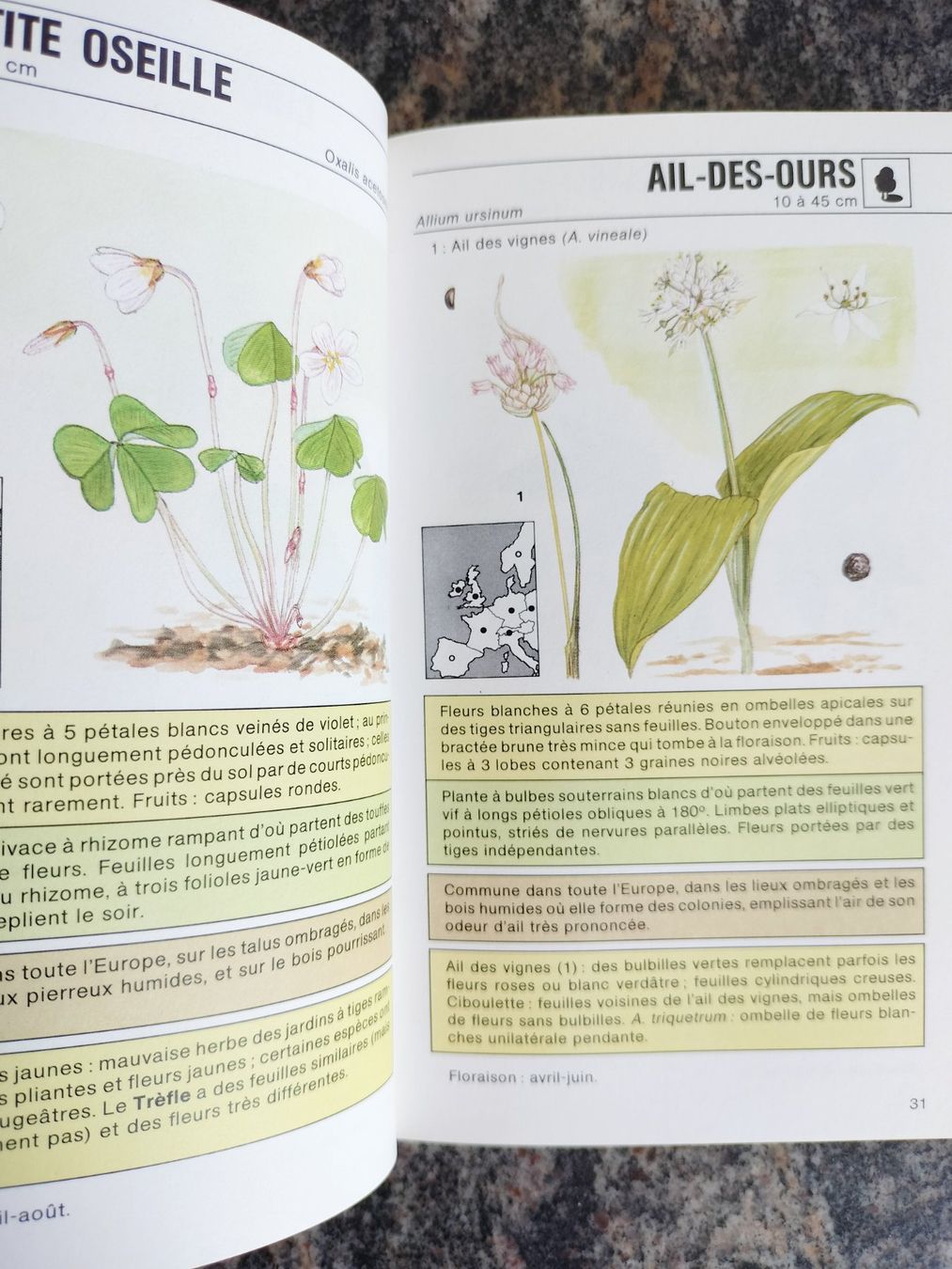 Bücher: Fleurs sauvages Gründ Nature - Poche – Gebraucht aus Cortaillod von rozinna 2